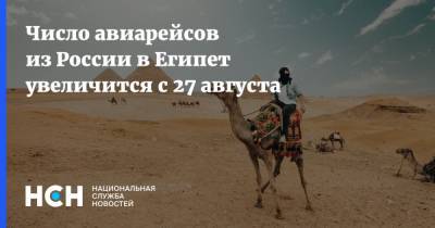 Число авиарейсов из России в Египет увеличится с 27 августа