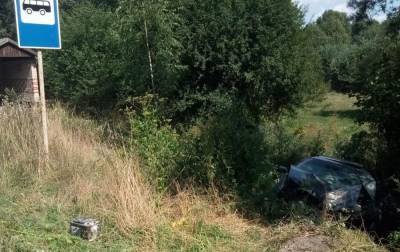 Во Львовской области машина слетела в кювет: пострадало 6 человек, среди них есть дети