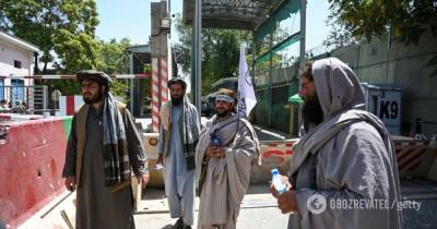 Афганистан сам стал Талибаном, США здесь ни при чем