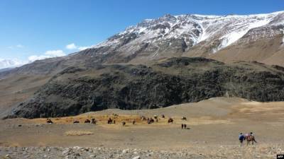 Кыргызстан сможет принять около 1,2 тыс. этнических кыргызов из Афганистана