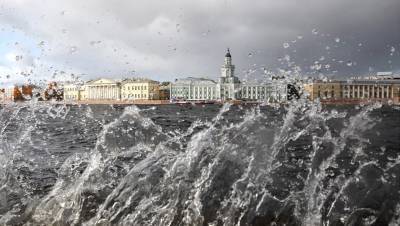 Ливни, грозы и сильный ветер ожидают Петербург 17 августа