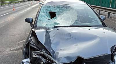 Автомобиль насмерть сбил пешехода на Логойском тракте в Минске