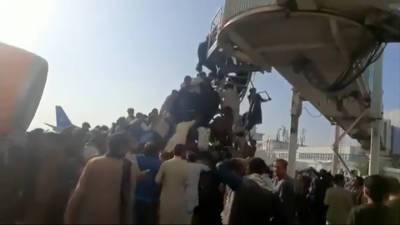 Новости на "России 24". Рейсы из Кабула приостановлены: стрельба и давка в аэропорту, есть погибшие