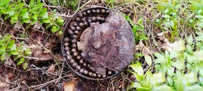 Мины и гранаты нашли у поселков на севере Карелии