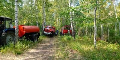 На Южном Урале детей, эвакуированных из-за лесного пожара, не будут возвращать в лагерь
