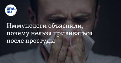Владимир Болибок - Иммунологи объяснили, почему нельзя прививаться после простуды - ura.news - Санкт-Петербург