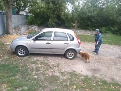 В УФСИН Липецкой области натаскивают собак на наркотики и взрывчатку