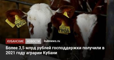 Более 3,5 млрд рублей господдержки получили в 2021 году аграрии Кубани