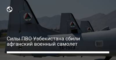 Силы ПВО Узбекистана сбили афганский военный самолет