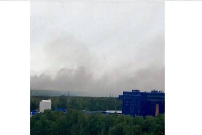 После пожара на полигоне «Новосёлки» в Петербурге проверят чистоту воздуха