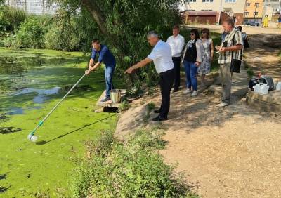 Депутат облдумы организовал проверку после загрязнения прудов в Дашково-Песочне