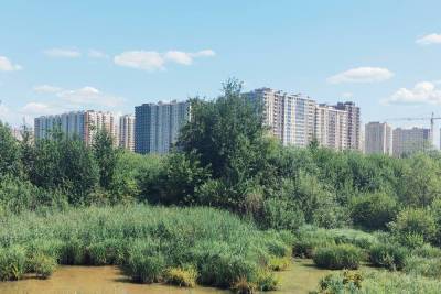 Названы лучшие по экологии районы Подмосковья для покупки жилья