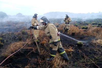 В рязанском селе Мыс Доброй Надежды пожарные неделю тушат сухую траву