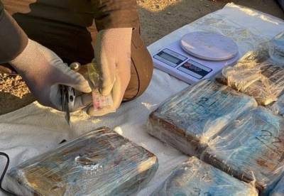 В порту Одессы обнаружили очередную партию кокаина на 10 млн долларов (видео)