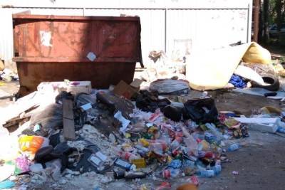 Куряне жалуются на мусорный апокалипсис на контейнерных площадках