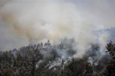 Пожар распространяется в сторону Адасса Эйн-Керем. Объявлена общая мобилизация пожарной службы