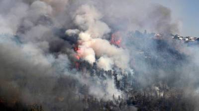 Пожар возле Иерусалима: огонь перекинулся на дома