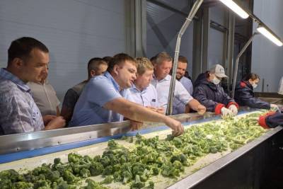 В Краснобаковском районе запустили линию по глубокой заморозке овощей