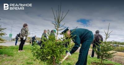 В Татарстане до конца 2021 года планируется восстановить более 3,8 тыс. га леса