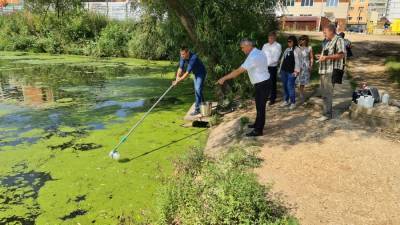 Власти проверят пруд в Рязани, где погибли утки и рыба