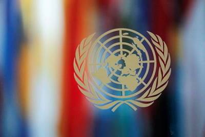 Совбез ООН призвал наказать виновных в нарушении прав человека в Афганистане
