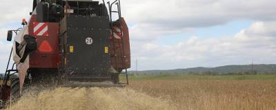 В Приморье аграрии собрали около 65 тысяч тонн зерновых
