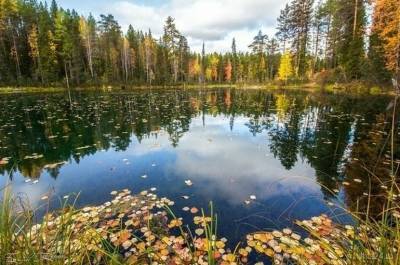 В России появится новый природный заказник Параськины озёра