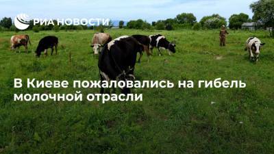 Глава Союза украинского крестьянства Томич пожаловался на смерть молочной отрасли в стране
