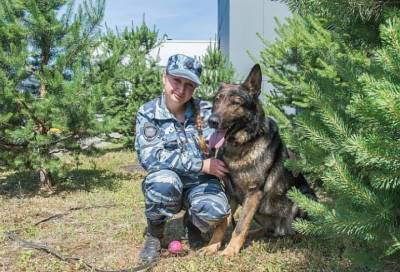 Петербургский служебный пёс получил итальянскую премию за спасение школьницы от насильника