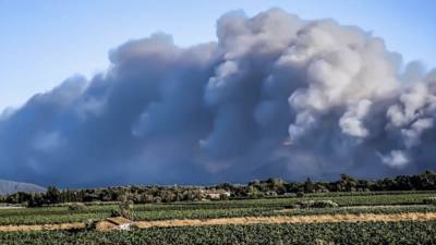 На юго-востоке Франции горит крупный лесной пожар