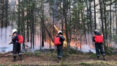 За неделю лесопожарные службы ликвидировали 382 лесных пожара в России