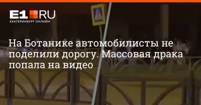 На Ботанике автомобилисты не поделили дорогу. Массовая драка попала на видео