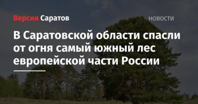 В Саратовской области спасли от огня самый южный лес европейской части России
