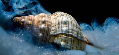 Ученые обнаружили на дне океана вещества внеземного происхождения