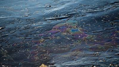 Спутники не обнаружили нефтяное пятно в Черном море возле Новороссийска