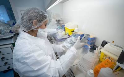 В Ленобласти выявили 230 новых зараженных коронавирусом — данные на 17 августа