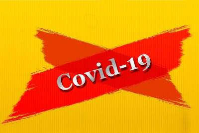 COVID-19 в Бурятии: умерло 2 пациента, заболели – 113