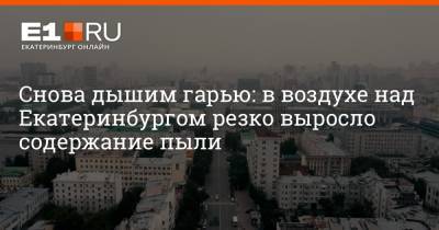 Максим Бутусов - Снова дышим гарью: в воздухе над Екатеринбургом резко выросло содержание пыли - e1.ru - Екатеринбург - Свердловская обл.