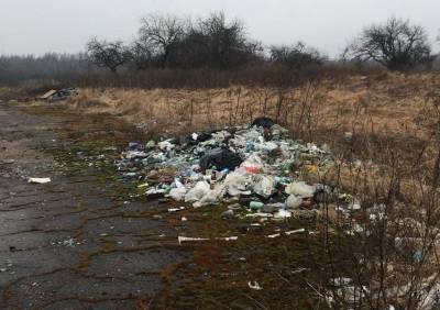 Два дня – две свалки. В Смоленской области продолжается борьба с мусором