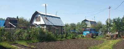 В Омске восемь садоводческих товариществ могут остаться без электричества