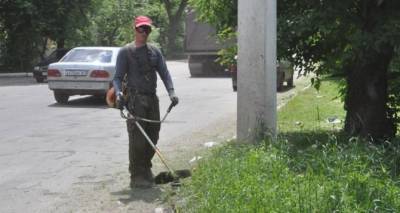 Какая ситуация в Луганске с травой. Кто косит, а кто откосил
