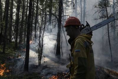 На территории Якутии зафиксировано 156 природных пожаров