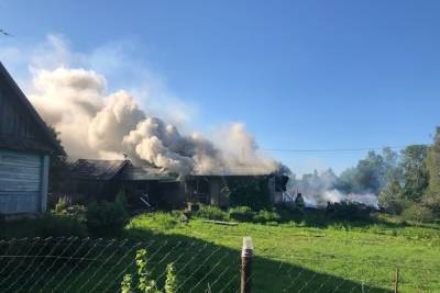Власти района Карелии объяснили, как удалось избежать серьезных пожаров