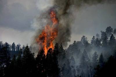 В Башкирии продолжают гореть леса на площади свыше 1,4 тысяч гектаров