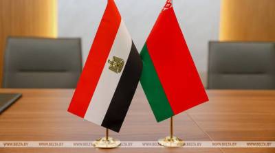 Беларусь и Египет обсудили возможности роста товарооборота и услуг