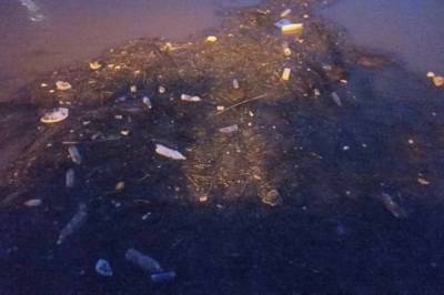 Паводок принес отходы на набережную Хабаровска