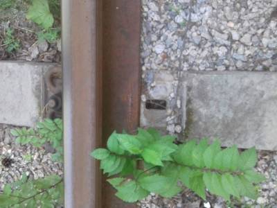 В Челябинске на детской железной дороге украли крепление рельсов
