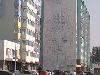 Граффити-художники украшают дома в Парковом