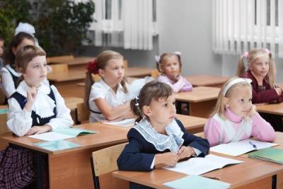 Дети из Тверской области осенью пойдут в школу, а не останутся на удалёнке