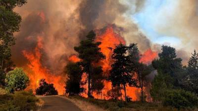 Израиль обратился к нескольким государствам с просьбой об оказании экстренной помощи для тушения пожаров